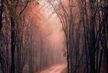 骆建佑内战力克郑加恒 晋级德国公开赛四强.