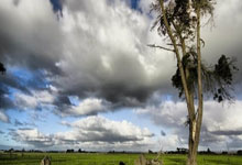 2025年全国青少年球竞赛日历公布.