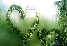 球盟会官网：琼托利：所有人都希望共同走出困境，一起思考解决问题.